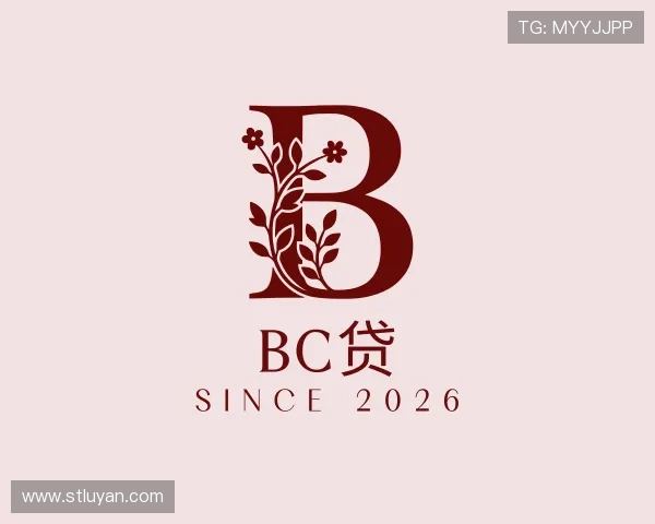 发现bc贷
